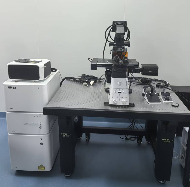 AX/AX R共聚焦显微镜